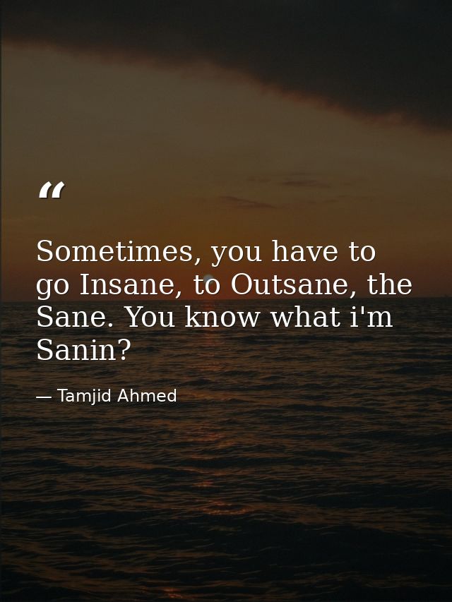 Sometimes, you have to go Insane, to Outsane, the Sane. You know what i'm Sanin? — Tamjid Ahmed