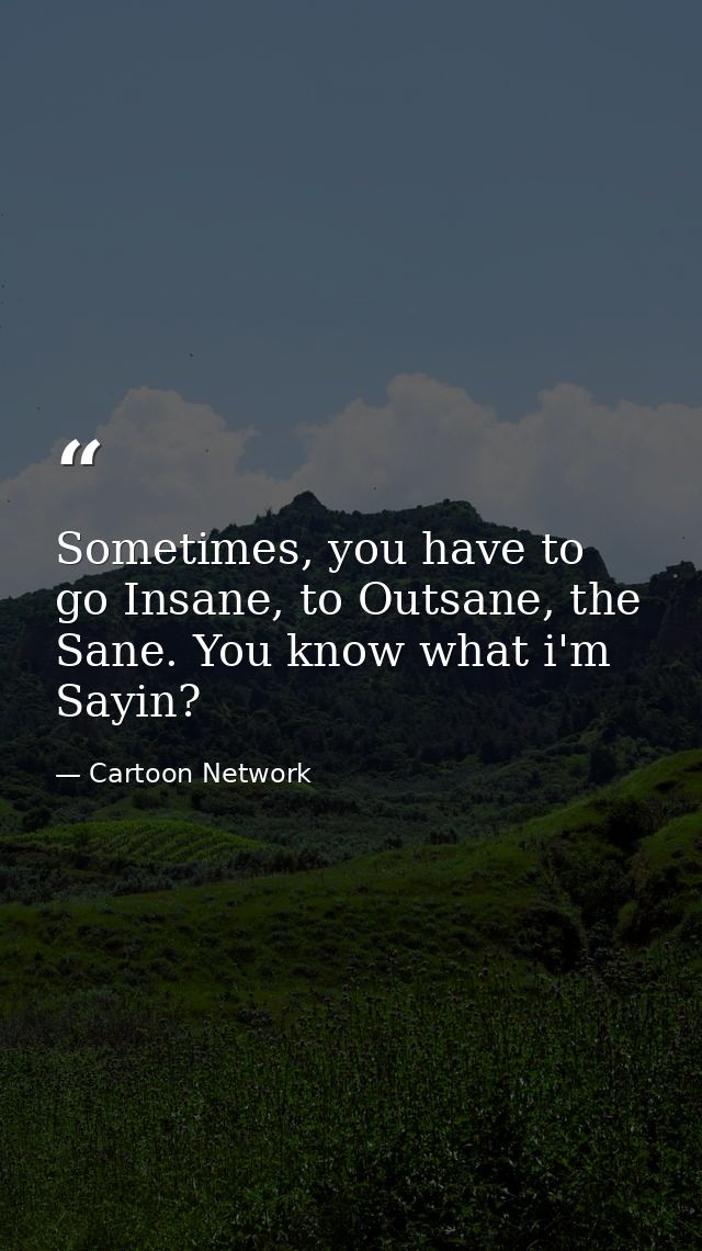 Sometimes, you have to go Insane, to Outsane, the Sane. You know what i'm Sayin? — Cartoon Network