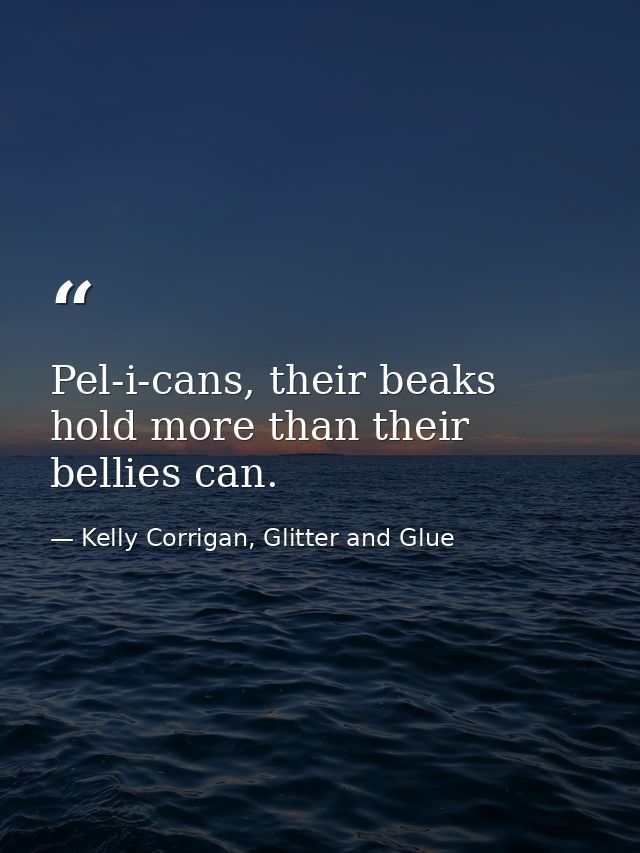 Pel-i-cans, their beaks hold more than their bellies can. — Kelly Corrigan, Glitter and Glue