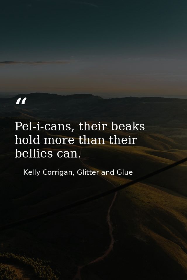Pel-i-cans, their beaks hold more than their bellies can. — Kelly Corrigan, Glitter and Glue