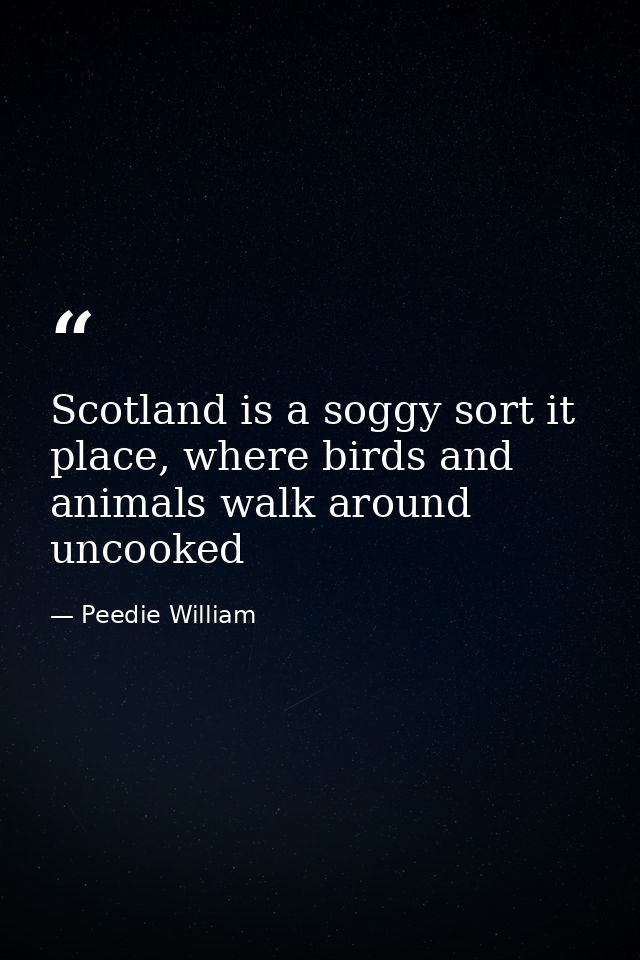 Scotland is a soggy sort it place, where birds and animals walk around uncooked — Peedie William