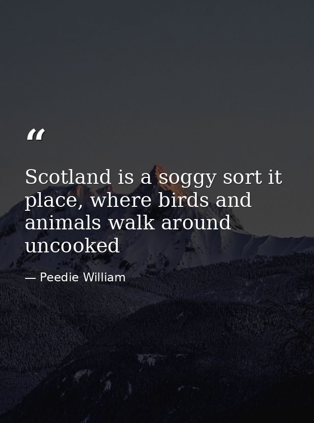 Scotland is a soggy sort it place, where birds and animals walk around uncooked — Peedie William