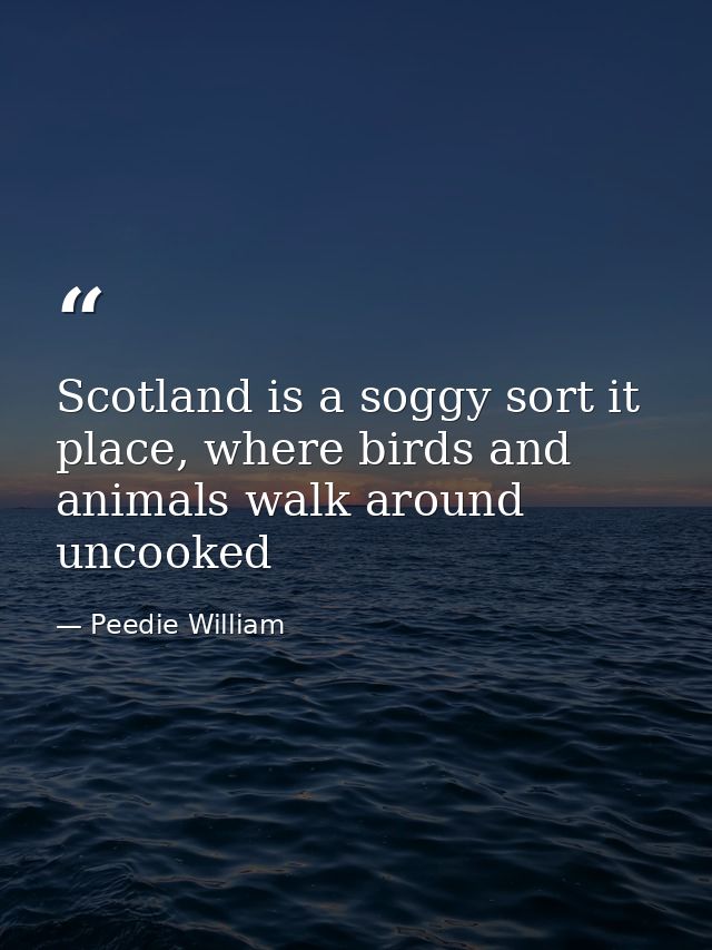 Scotland is a soggy sort it place, where birds and animals walk around uncooked — Peedie William