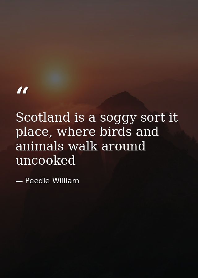 Scotland is a soggy sort it place, where birds and animals walk around uncooked — Peedie William