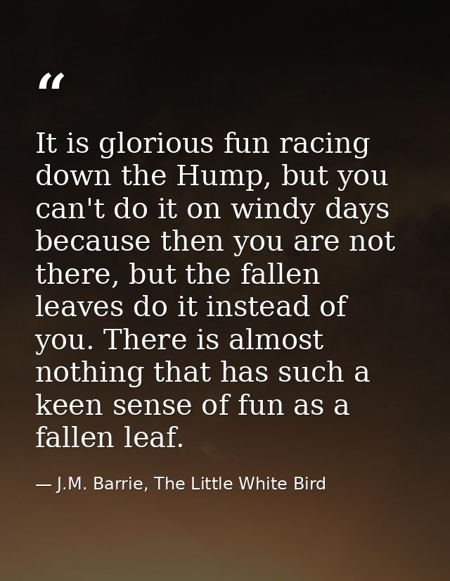 It is glorious fun racing down the Hump, but you can't do it on windy days because then you are not there, but the falle — J.M. Barrie, The Little White Bird
