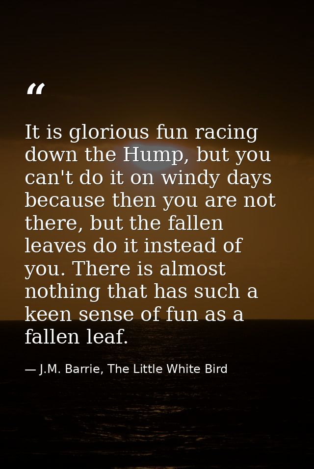 It is glorious fun racing down the Hump, but you can't do it on windy days because then you are not there, but the falle — J.M. Barrie, The Little White Bird