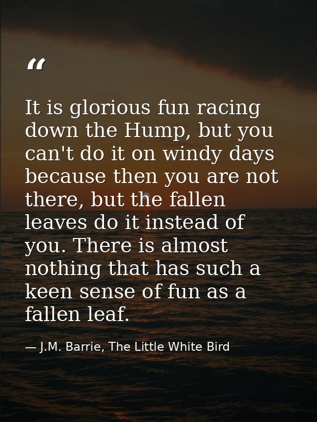 It is glorious fun racing down the Hump, but you can't do it on windy days because then you are not there, but the falle — J.M. Barrie, The Little White Bird