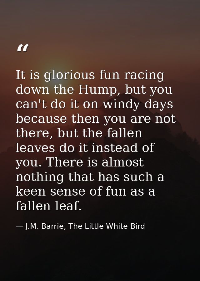 It is glorious fun racing down the Hump, but you can't do it on windy days because then you are not there, but the falle — J.M. Barrie, The Little White Bird