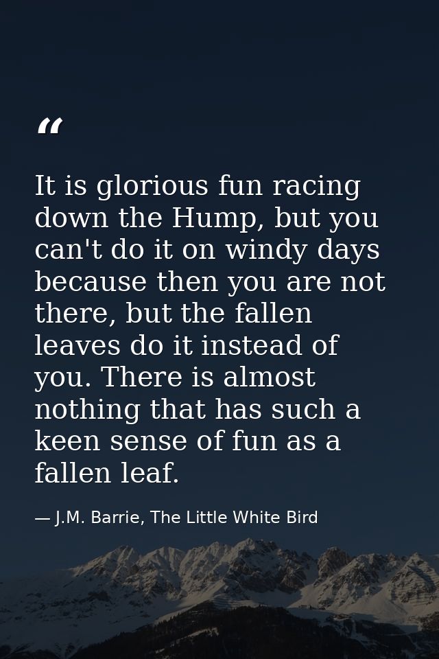 It is glorious fun racing down the Hump, but you can't do it on windy days because then you are not there, but the falle — J.M. Barrie, The Little White Bird