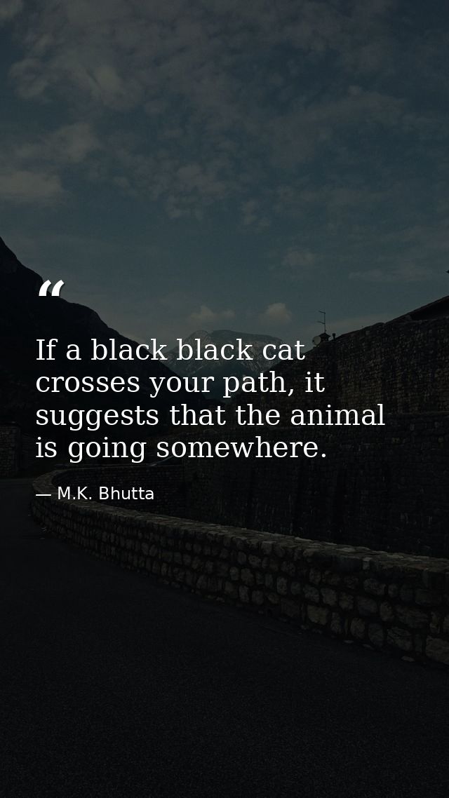 If a black black cat crosses your path, it suggests that the animal is going somewhere. — M.K. Bhutta