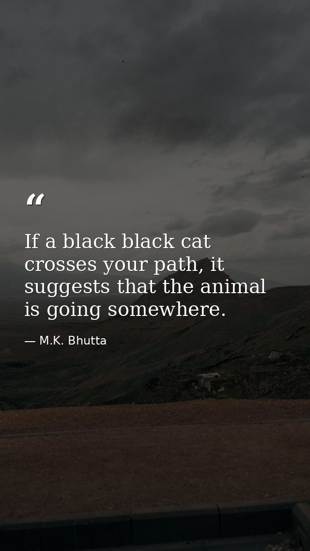 If a black black cat crosses your path, it suggests that the animal is going somewhere. — M.K. Bhutta