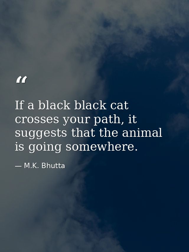 If a black black cat crosses your path, it suggests that the animal is going somewhere. — M.K. Bhutta