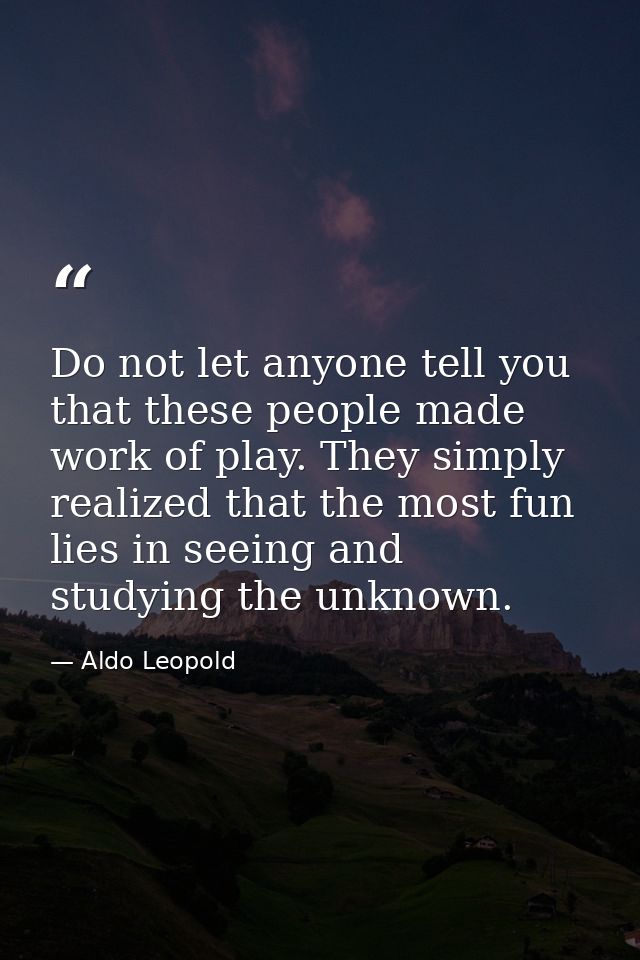 Do not let anyone tell you that these people made work of play. They simply realized that the most fun lies in seeing an — Aldo Leopold