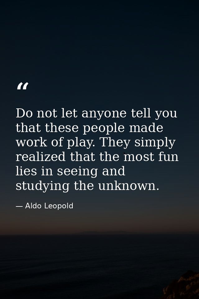 Do not let anyone tell you that these people made work of play. They simply realized that the most fun lies in seeing an — Aldo Leopold