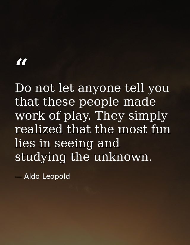 Do not let anyone tell you that these people made work of play. They simply realized that the most fun lies in seeing an — Aldo Leopold