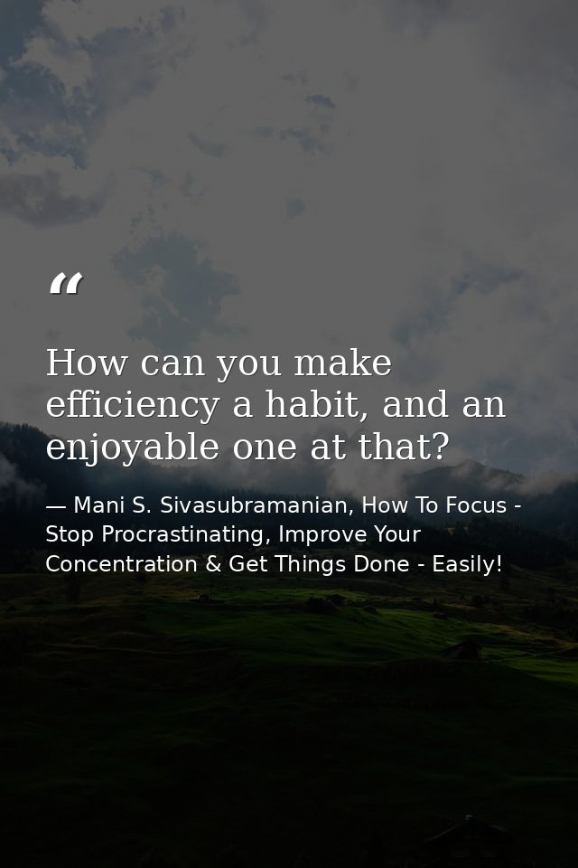 How can you make efficiency a habit, and an enjoyable one at that? — Mani S. Sivasubramanian, How To Focus - Stop Procrastinating, Improve Your Concentration & Get Things Done - Easily!