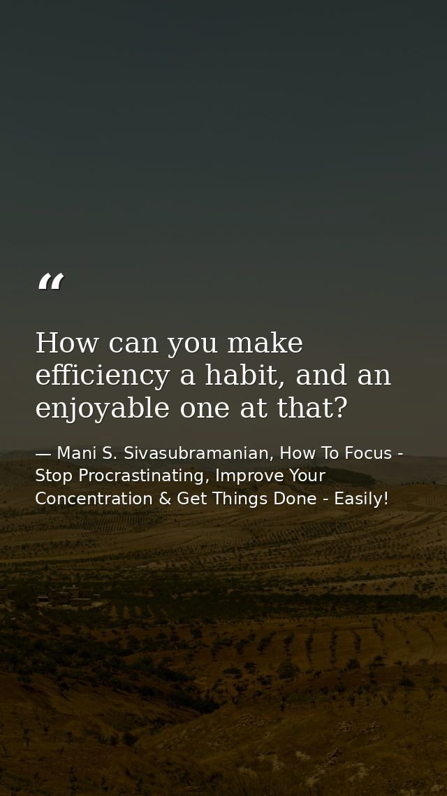 How can you make efficiency a habit, and an enjoyable one at that? — Mani S. Sivasubramanian, How To Focus - Stop Procrastinating, Improve Your Concentration & Get Things Done - Easily!