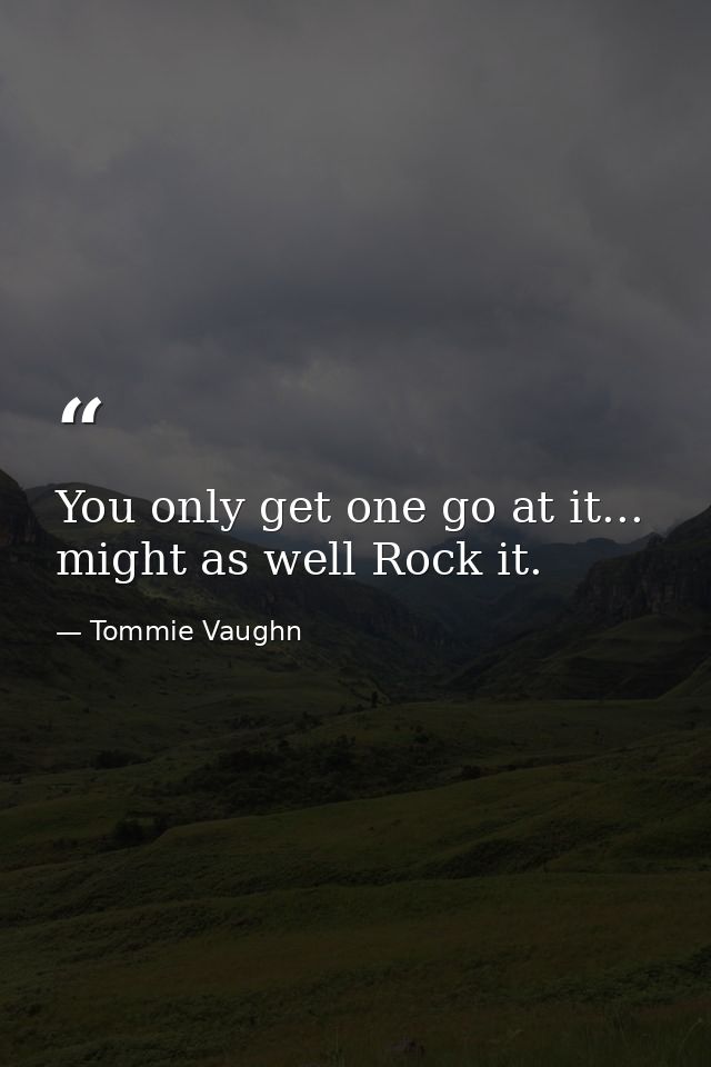 You only get one go at it... might as well Rock it. — Tommie Vaughn