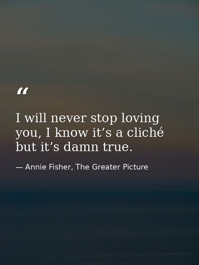 I will never stop loving you, I know it’s a cliché but it’s damn true. — Annie Fisher, The Greater Picture