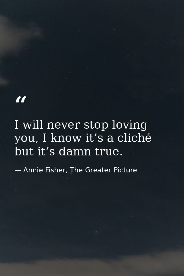 I will never stop loving you, I know it’s a cliché but it’s damn true. — Annie Fisher, The Greater Picture