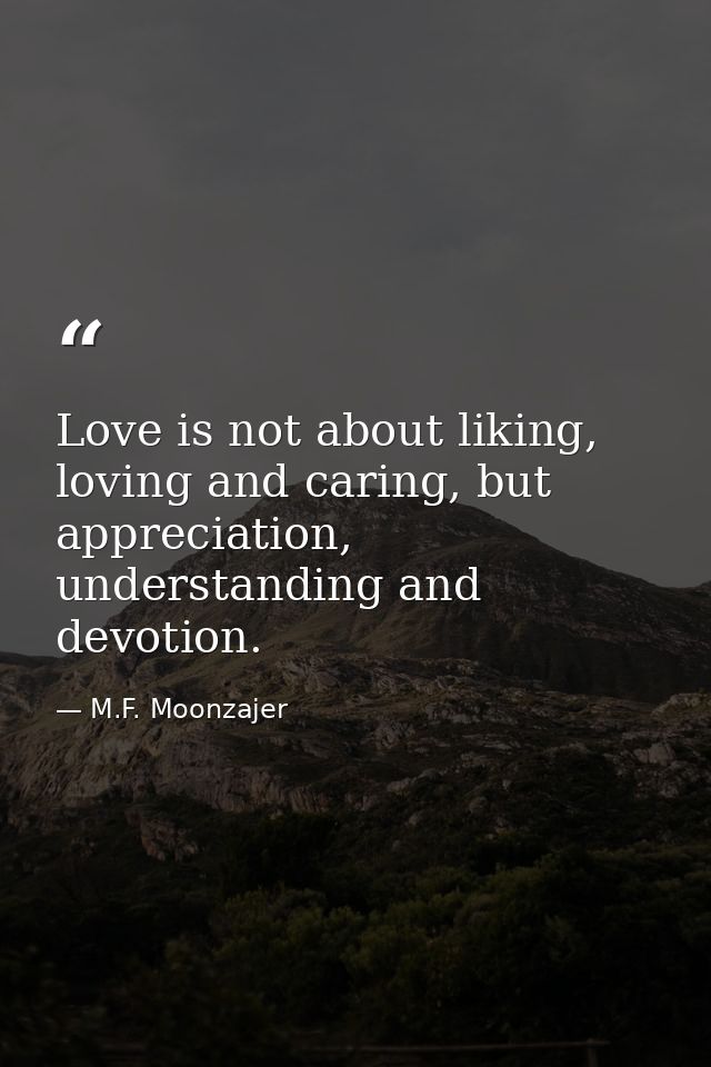 Love is not about liking, loving and caring, but appreciation, understanding and devotion. — M.F. Moonzajer