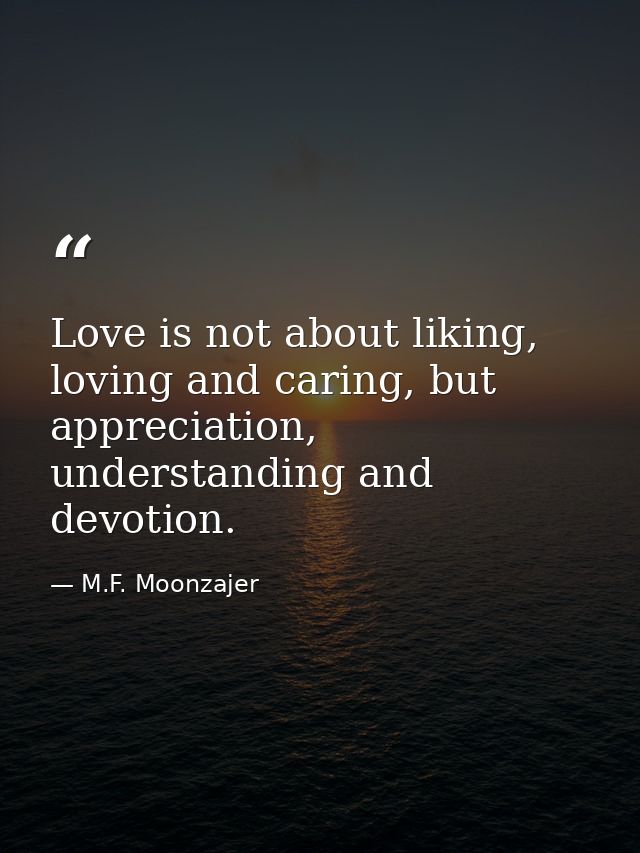 Love is not about liking, loving and caring, but appreciation, understanding and devotion. — M.F. Moonzajer