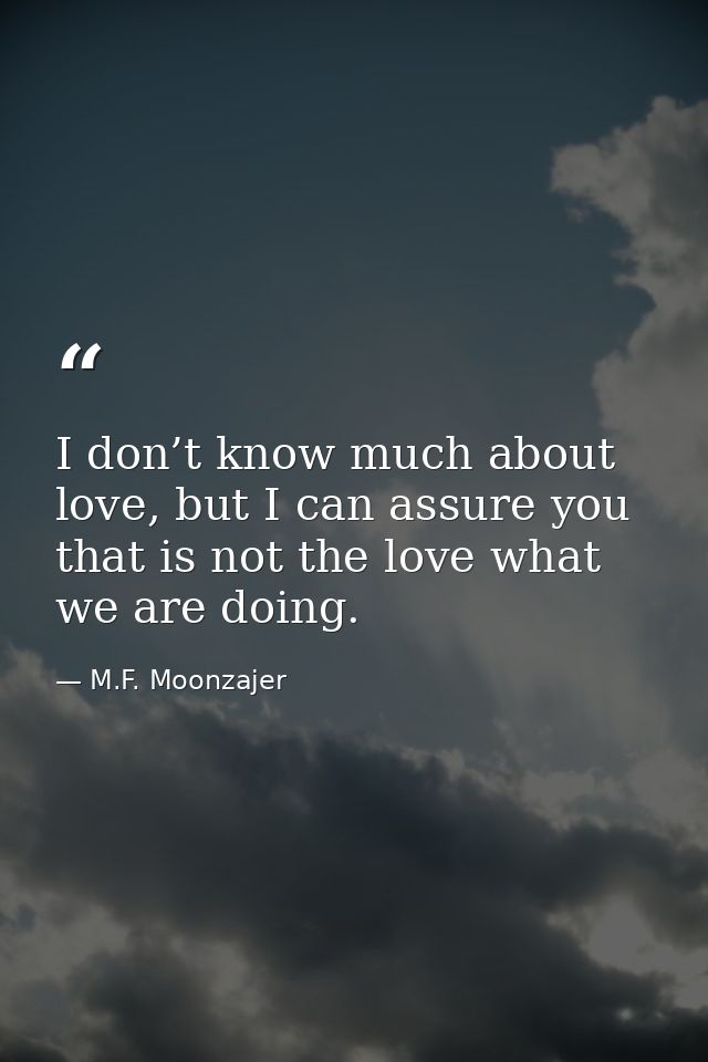 I don’t know much about love, but I can assure you that is not the love what we are doing. — M.F. Moonzajer