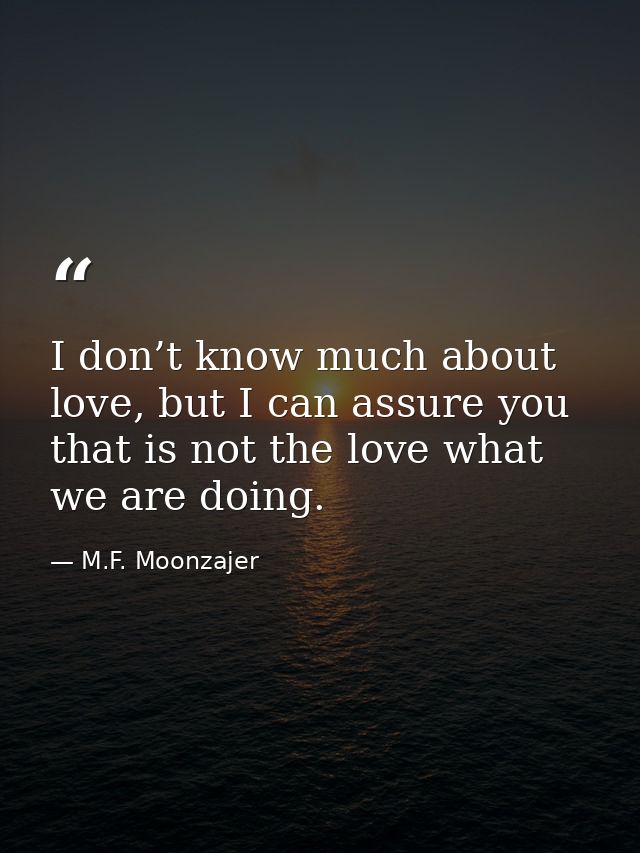 I don’t know much about love, but I can assure you that is not the love what we are doing. — M.F. Moonzajer