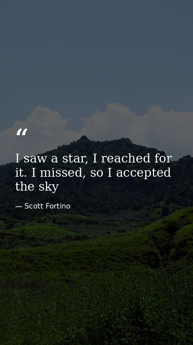 I saw a star, I reached for it. I missed, so I accepted the sky — Scott Fortino
