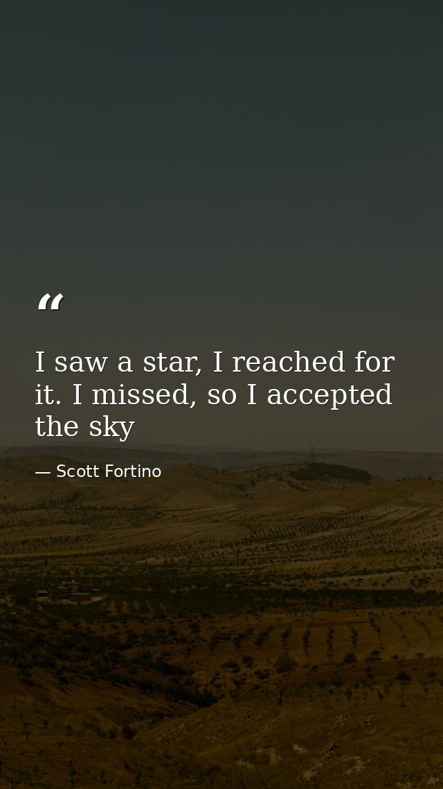 I saw a star, I reached for it. I missed, so I accepted the sky — Scott Fortino