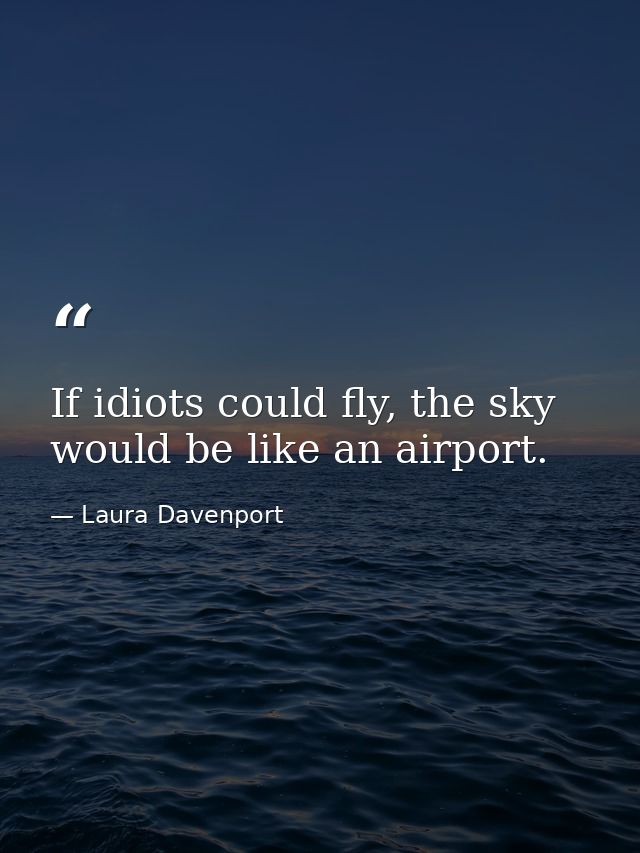 If idiots could fly, the sky would be like an airport. — Laura Davenport
