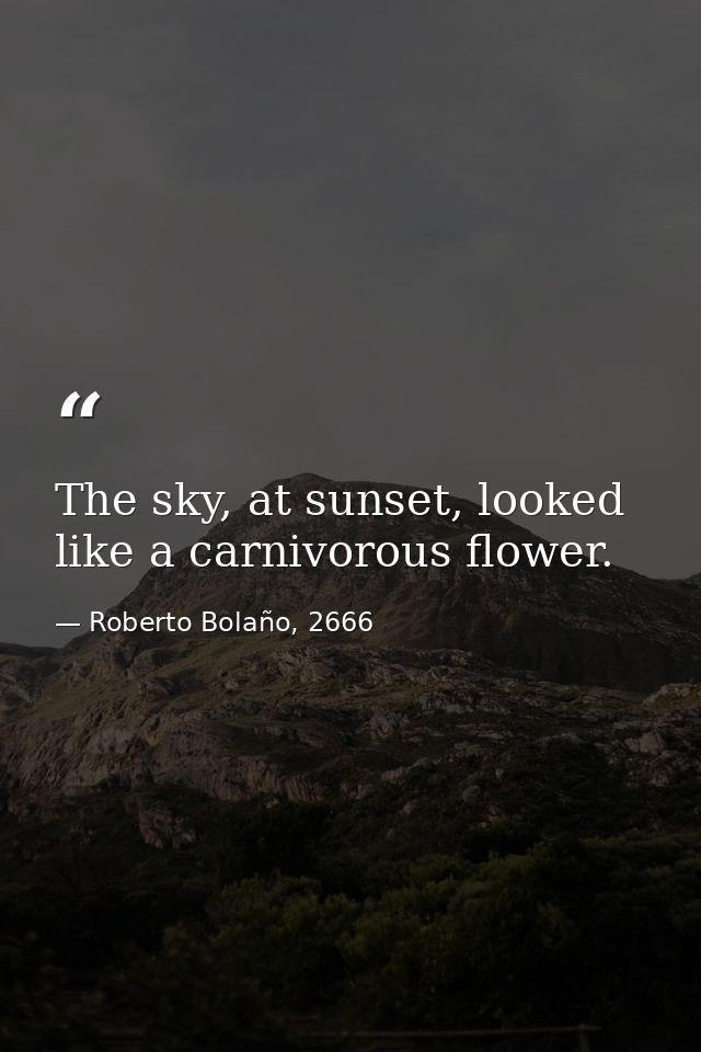 The sky, at sunset, looked like a carnivorous flower. — Roberto Bolaño, 2666
