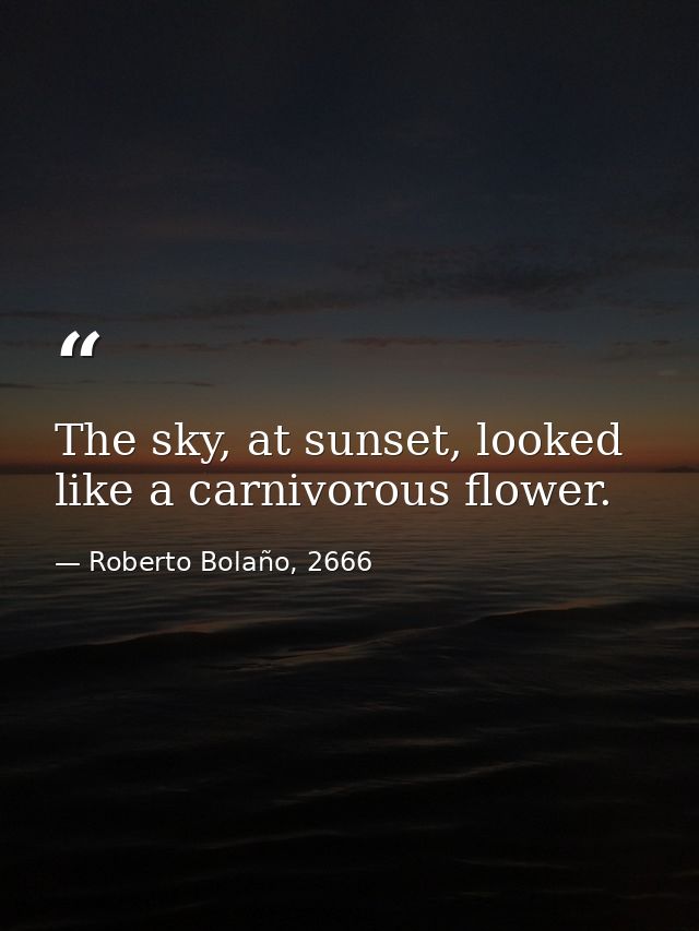 The sky, at sunset, looked like a carnivorous flower. — Roberto Bolaño, 2666