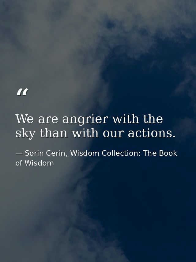 We are angrier with the sky than with our actions. — Sorin Cerin, Wisdom Collection: The Book of Wisdom