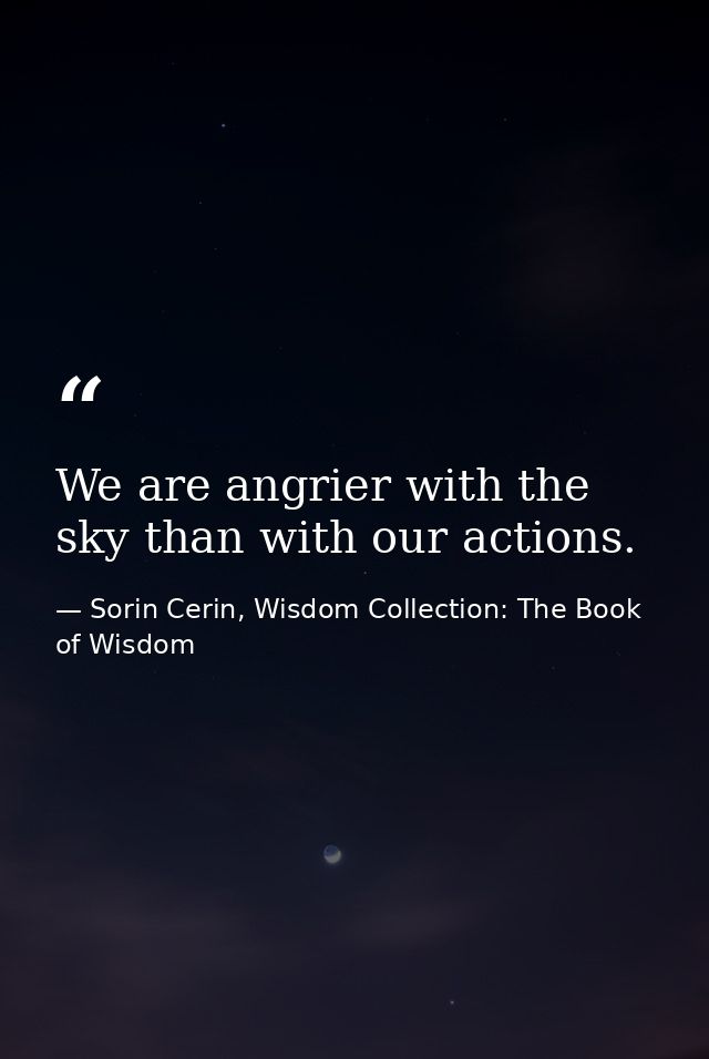 We are angrier with the sky than with our actions. — Sorin Cerin, Wisdom Collection: The Book of Wisdom