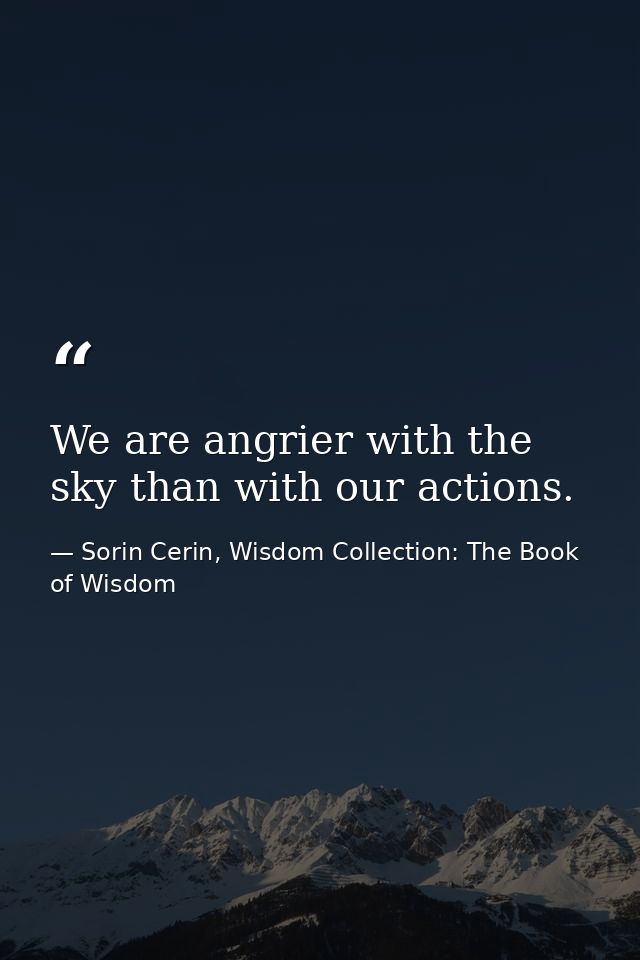 We are angrier with the sky than with our actions. — Sorin Cerin, Wisdom Collection: The Book of Wisdom