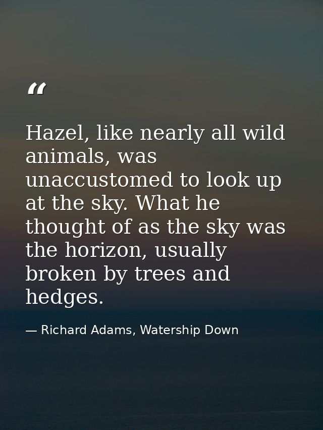 Hazel, like nearly all wild animals, was unaccustomed to look up at the sky. What he thought of as the sky was the horiz — Richard Adams, Watership Down