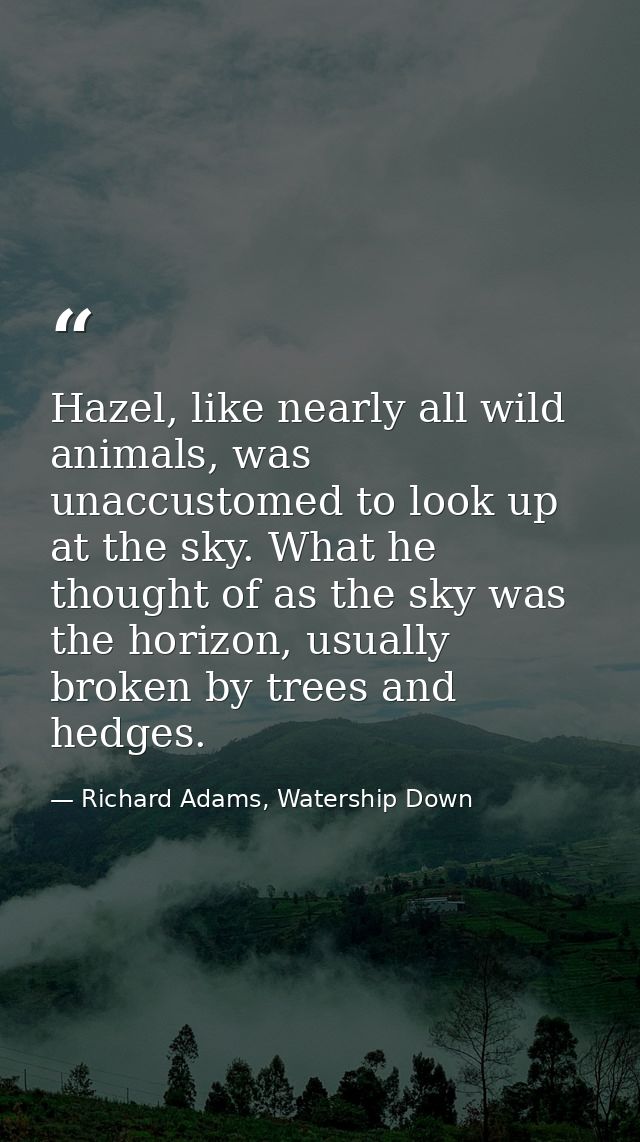 Hazel, like nearly all wild animals, was unaccustomed to look up at the sky. What he thought of as the sky was the horiz — Richard Adams, Watership Down
