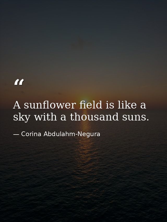 A sunflower field is like a sky with a thousand suns. — Corina Abdulahm-Negura