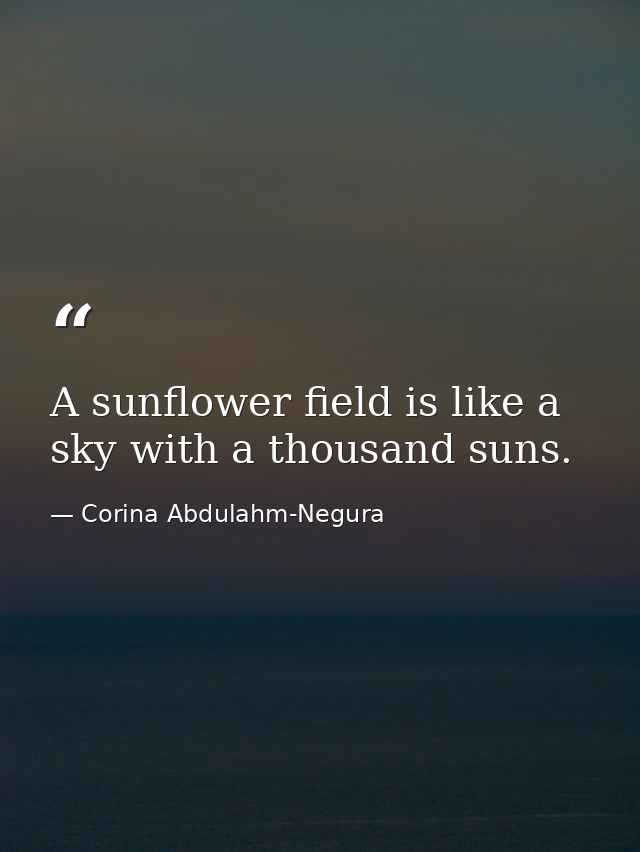A sunflower field is like a sky with a thousand suns. — Corina Abdulahm-Negura