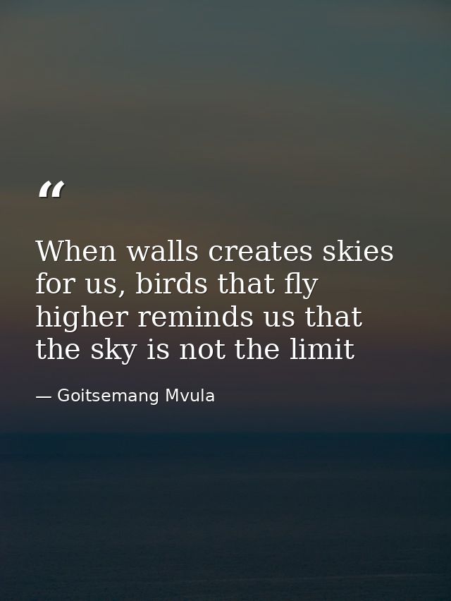 When walls creates skies for us, birds that fly higher reminds us that the sky is not the limit — Goitsemang Mvula