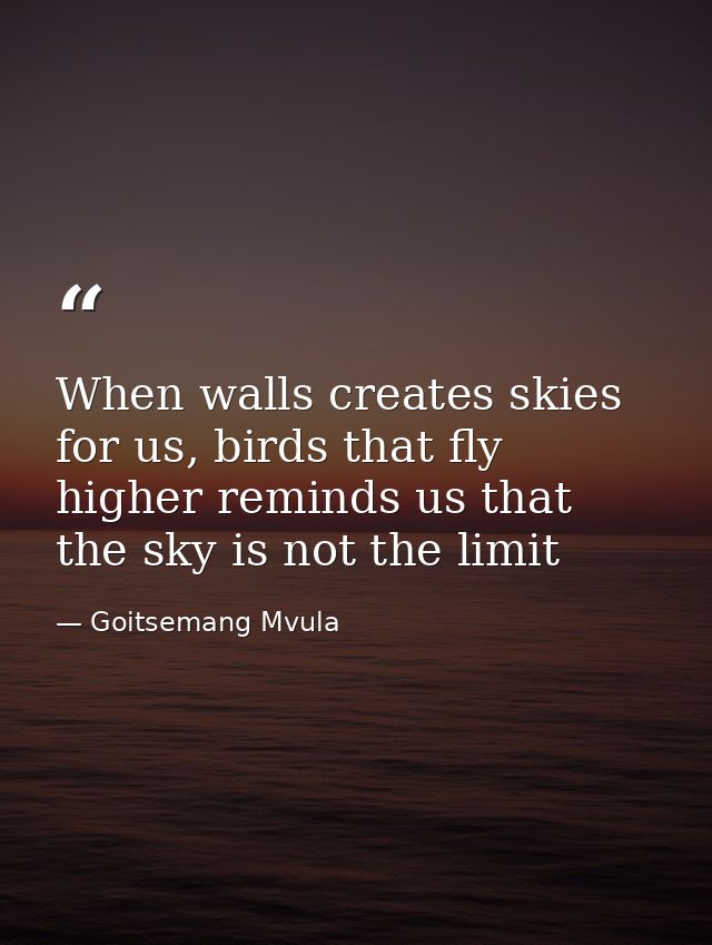 When walls creates skies for us, birds that fly higher reminds us that the sky is not the limit — Goitsemang Mvula