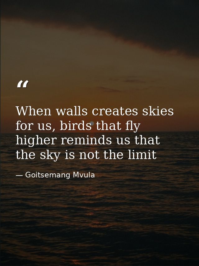 When walls creates skies for us, birds that fly higher reminds us that the sky is not the limit — Goitsemang Mvula