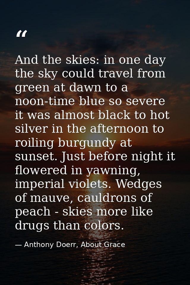 And the skies: in one day the sky could travel from green at dawn to a noon-time blue so severe it was almost black to h — Anthony Doerr, About Grace