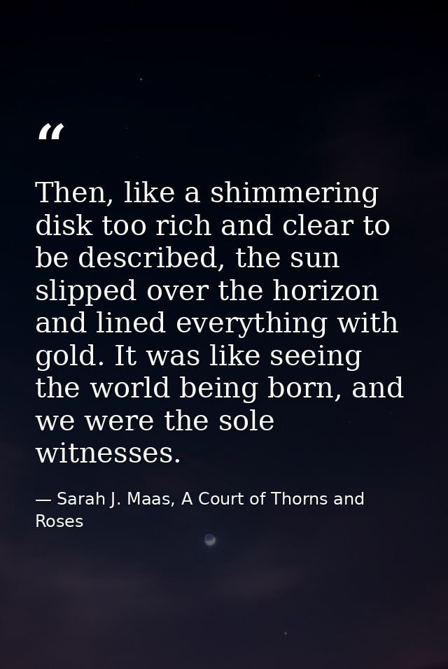 Then, like a shimmering disk too rich and clear to be described, the sun slipped over the horizon and lined everything w — Sarah J. Maas, A Court of Thorns and Roses