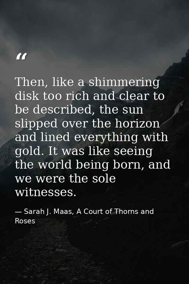 Then, like a shimmering disk too rich and clear to be described, the sun slipped over the horizon and lined everything w — Sarah J. Maas, A Court of Thorns and Roses