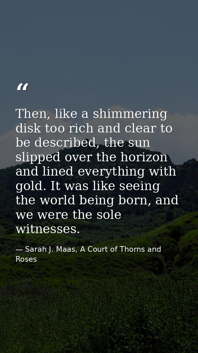 Then, like a shimmering disk too rich and clear to be described, the sun slipped over the horizon and lined everything w — Sarah J. Maas, A Court of Thorns and Roses
