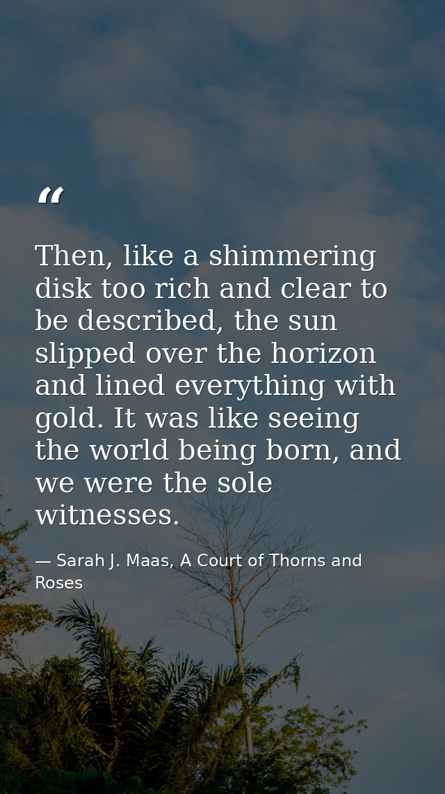 Then, like a shimmering disk too rich and clear to be described, the sun slipped over the horizon and lined everything w — Sarah J. Maas, A Court of Thorns and Roses