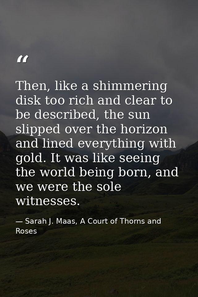 Then, like a shimmering disk too rich and clear to be described, the sun slipped over the horizon and lined everything w — Sarah J. Maas, A Court of Thorns and Roses