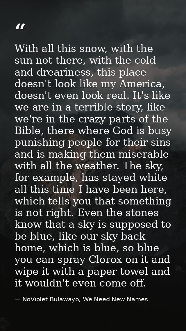 With all this snow, with the sun not there, with the cold and dreariness, this place doesn't look like my America, doesn — NoViolet Bulawayo, We Need New Names